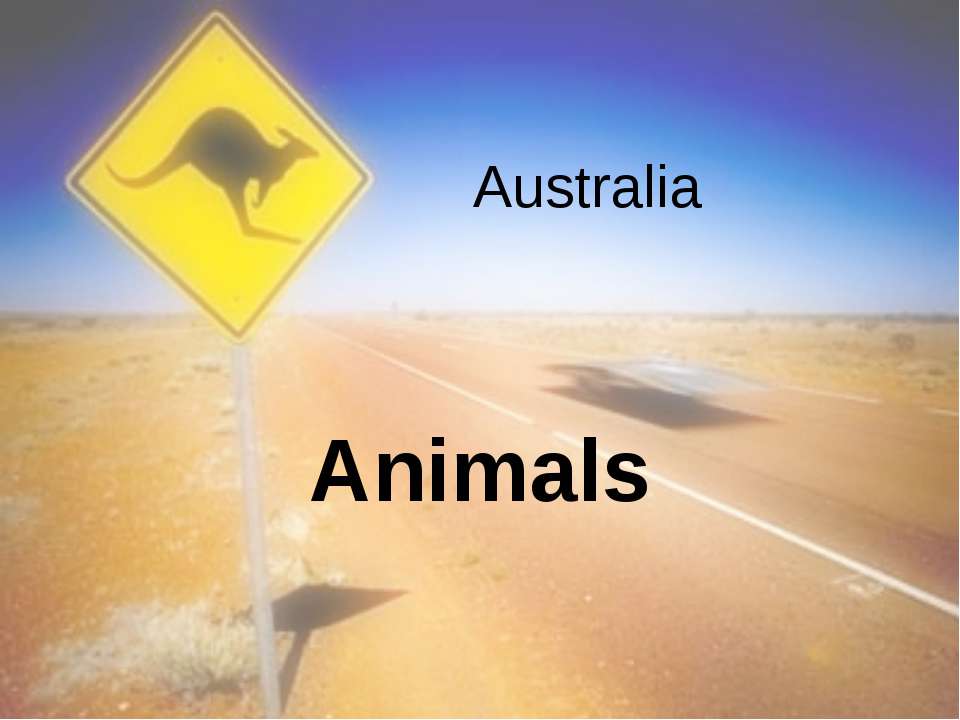 Australia Animals - Скачать школьные презентации PowerPoint бесплатно | Портал бесплатных презентаций school-present.com