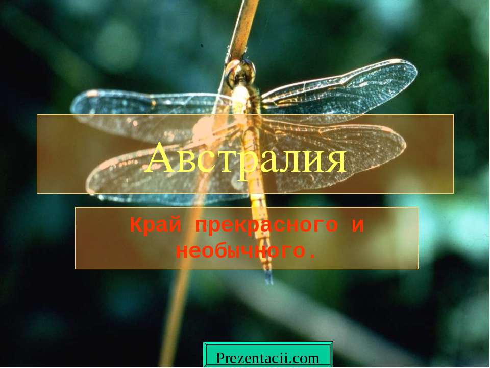 Животные Австралии - Скачать школьные презентации PowerPoint бесплатно | Портал бесплатных презентаций school-present.com