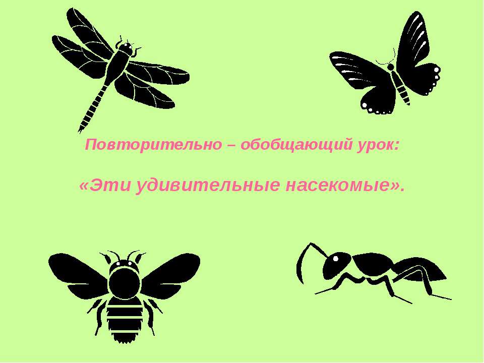Эти удивительные насекомые - Скачать школьные презентации PowerPoint бесплатно | Портал бесплатных презентаций school-present.com