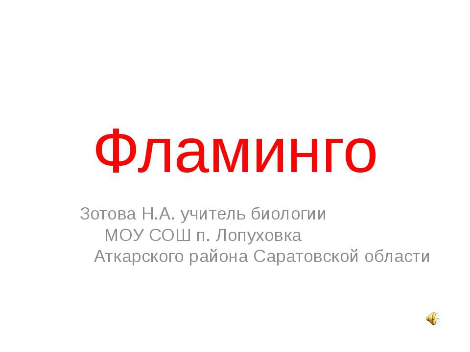 Фламинго - Скачать школьные презентации PowerPoint бесплатно | Портал бесплатных презентаций school-present.com