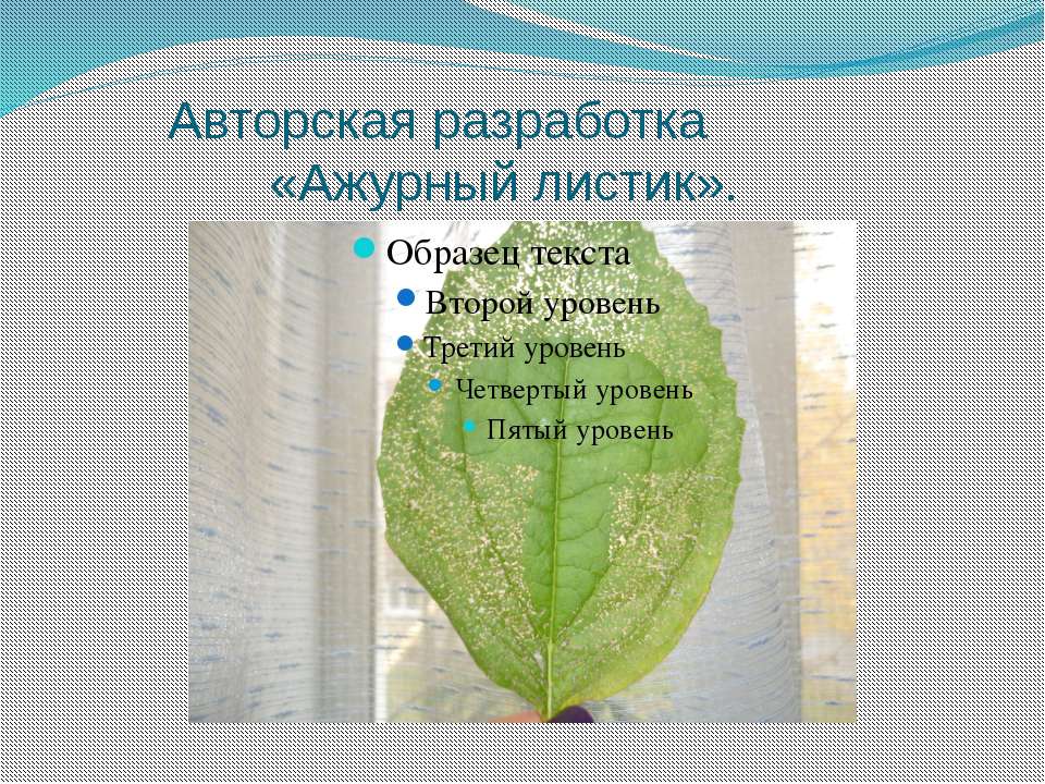 Ажурный листик - Скачать школьные презентации PowerPoint бесплатно | Портал бесплатных презентаций school-present.com