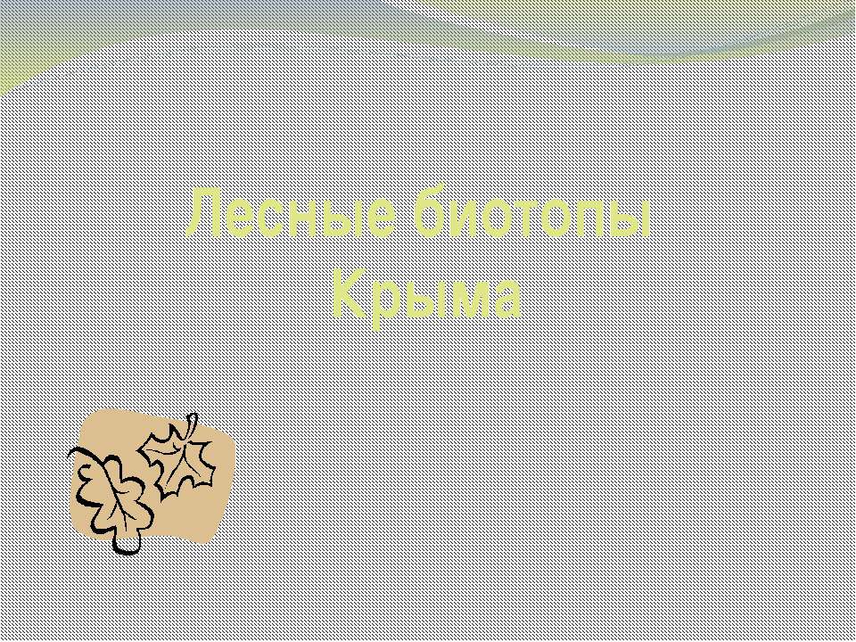 Лесные биотопы Крыма
