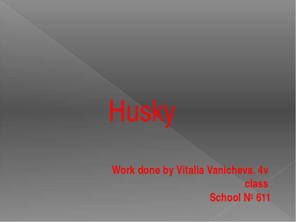 Husky - Скачать школьные презентации PowerPoint бесплатно | Портал бесплатных презентаций school-present.com