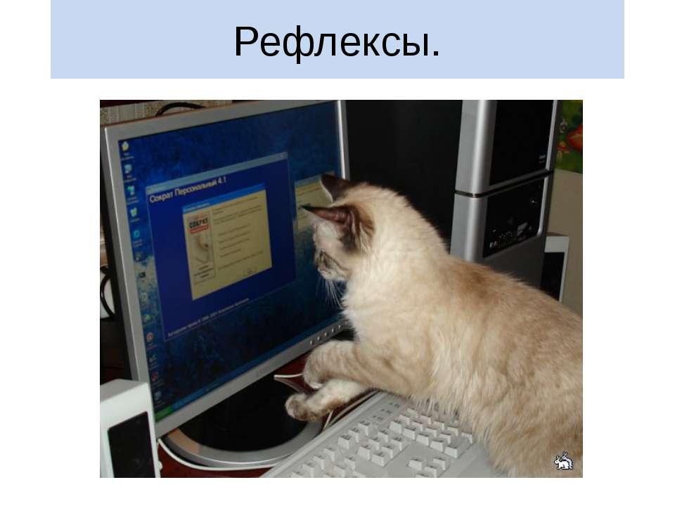 Рефлексы - Скачать школьные презентации PowerPoint бесплатно | Портал бесплатных презентаций school-present.com