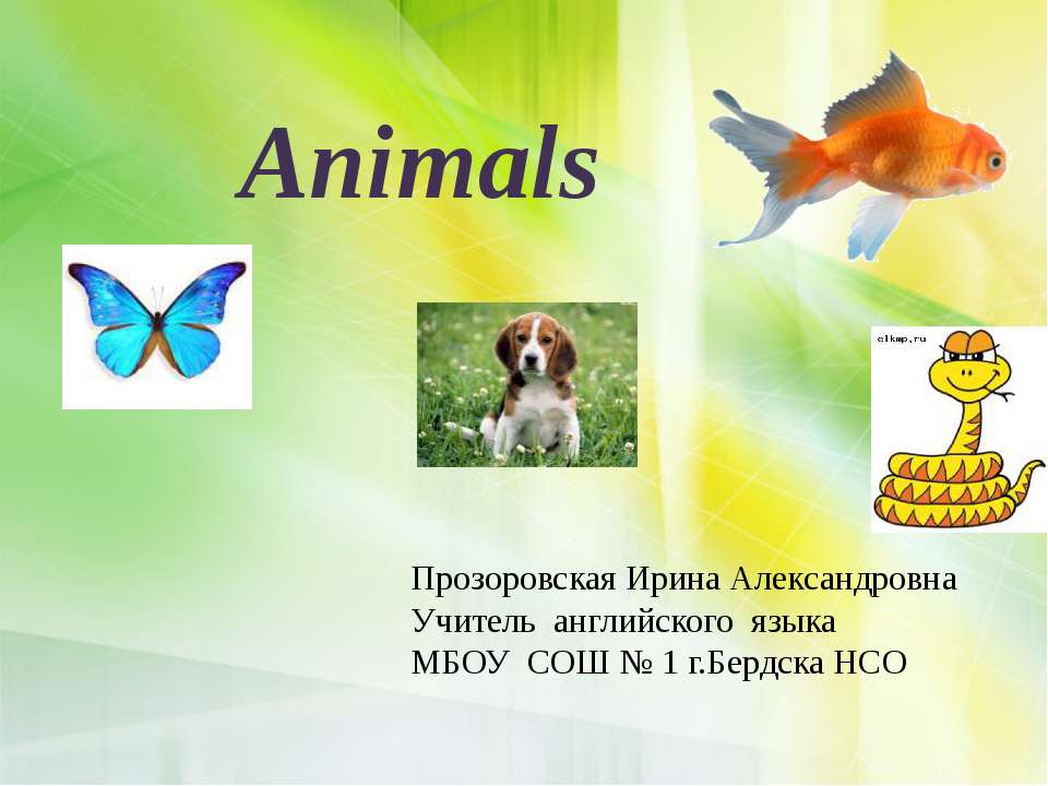 Animals - Скачать школьные презентации PowerPoint бесплатно | Портал бесплатных презентаций school-present.com