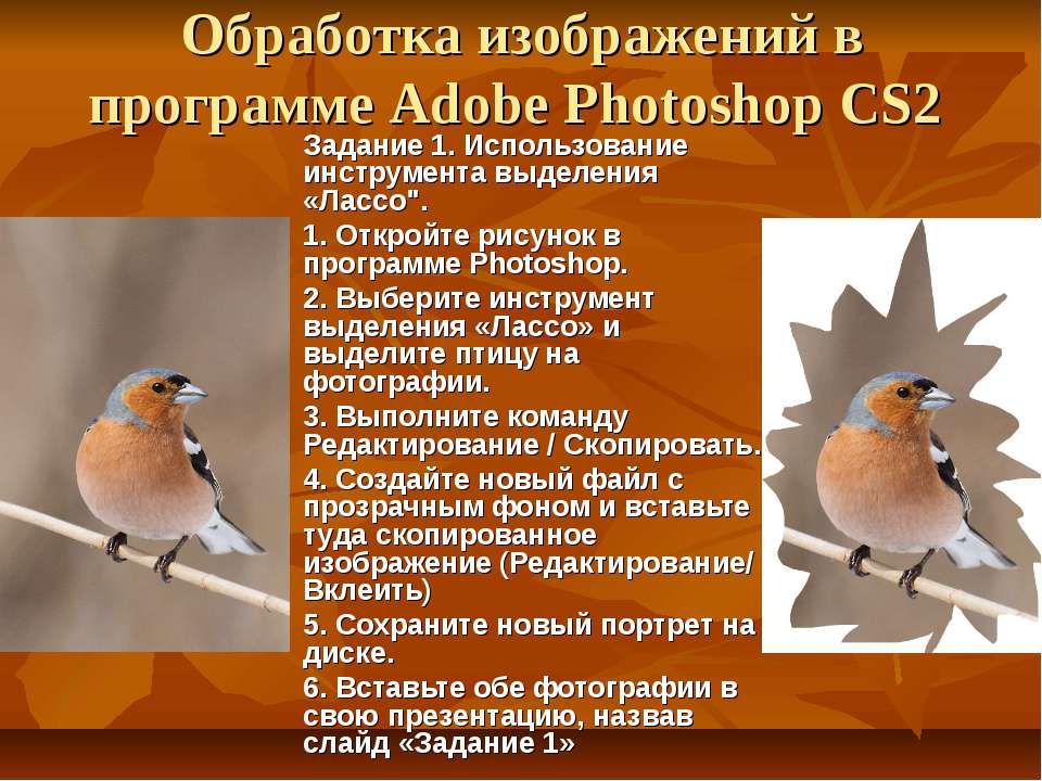 Обработка изображений в программе Adobe Photoshop CS2