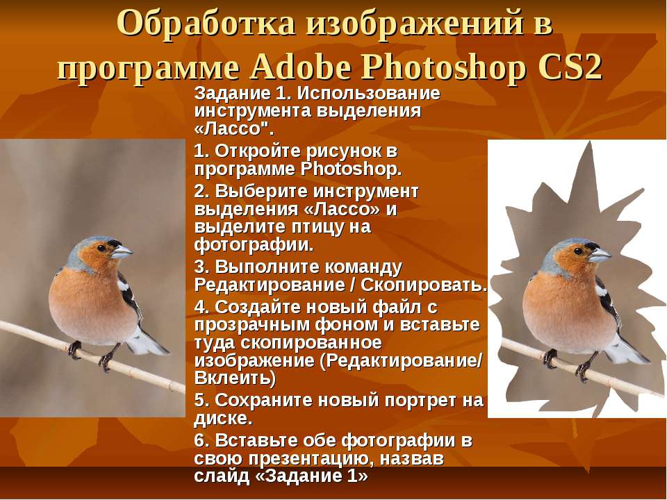 Обработка изображений в программе Adobe Photoshop CS2 - Скачать школьные презентации PowerPoint бесплатно | Портал бесплатных презентаций school-present.com