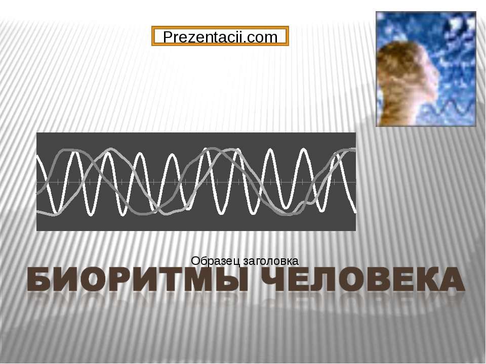 Биоритмы человека - Скачать школьные презентации PowerPoint бесплатно | Портал бесплатных презентаций school-present.com