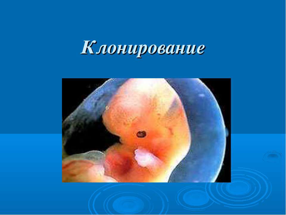 Клонирование - Скачать школьные презентации PowerPoint бесплатно | Портал бесплатных презентаций school-present.com