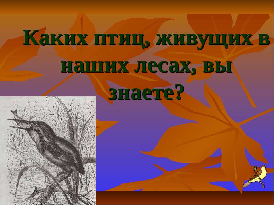 Каких птиц, живущих в наших лесах, вы знаете? - Скачать школьные презентации PowerPoint бесплатно | Портал бесплатных презентаций school-present.com