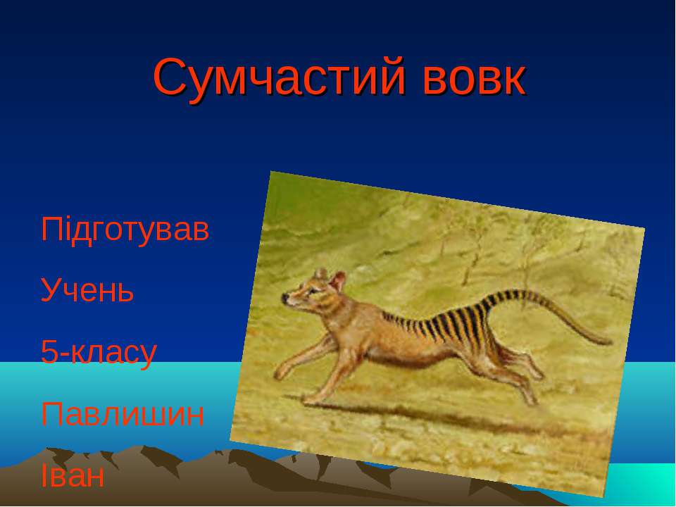 сумчастий вовк - Скачать школьные презентации PowerPoint бесплатно | Портал бесплатных презентаций school-present.com