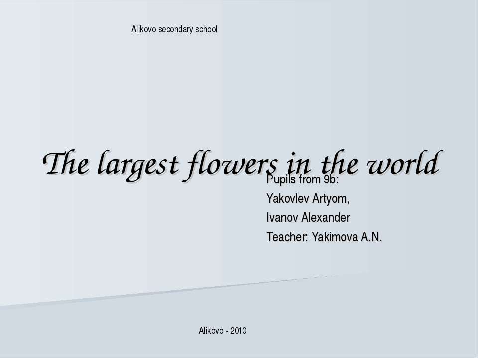 The largest flowers in the world - Скачать школьные презентации PowerPoint бесплатно | Портал бесплатных презентаций school-present.com