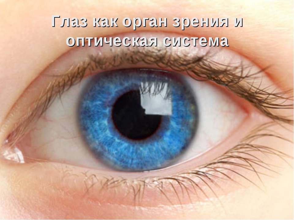 Глаз как орган зрения и оптическая система