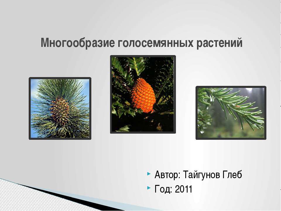 Многообразие голосемянных растений