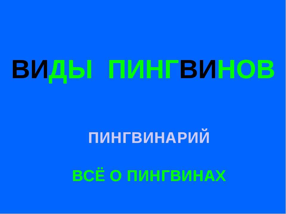 Виды пингвинов - Скачать школьные презентации PowerPoint бесплатно | Портал бесплатных презентаций school-present.com