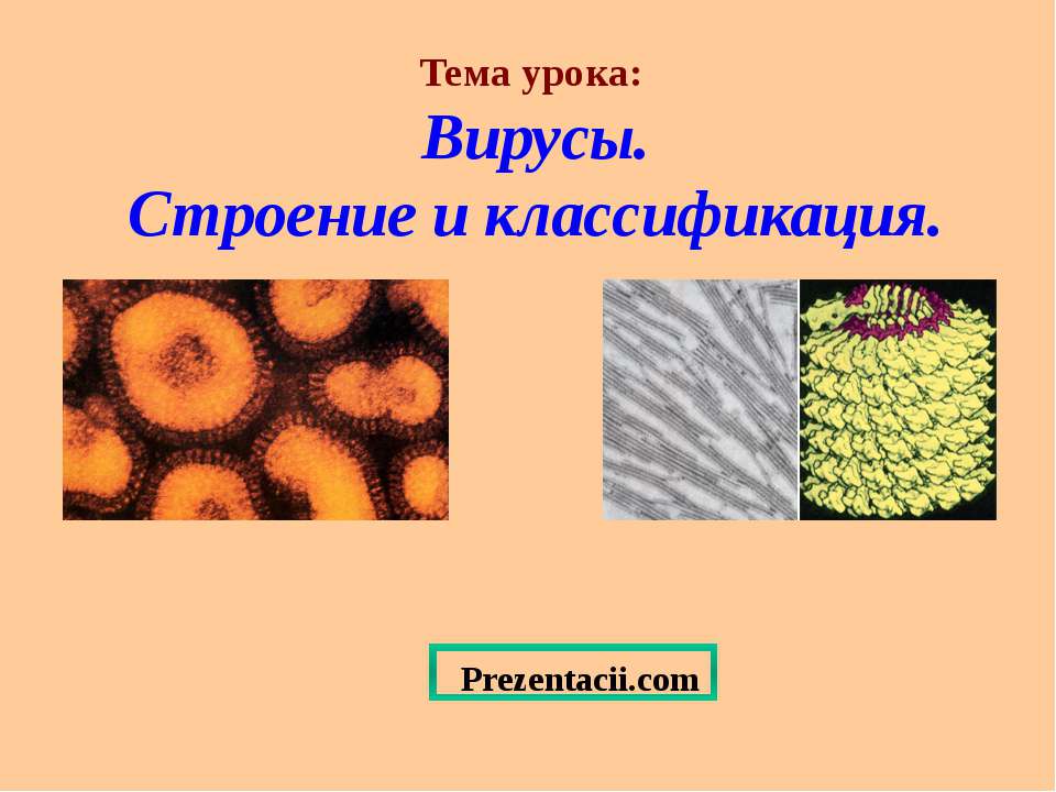 Вирусы. Строение и классификация - Скачать школьные презентации PowerPoint бесплатно | Портал бесплатных презентаций school-present.com