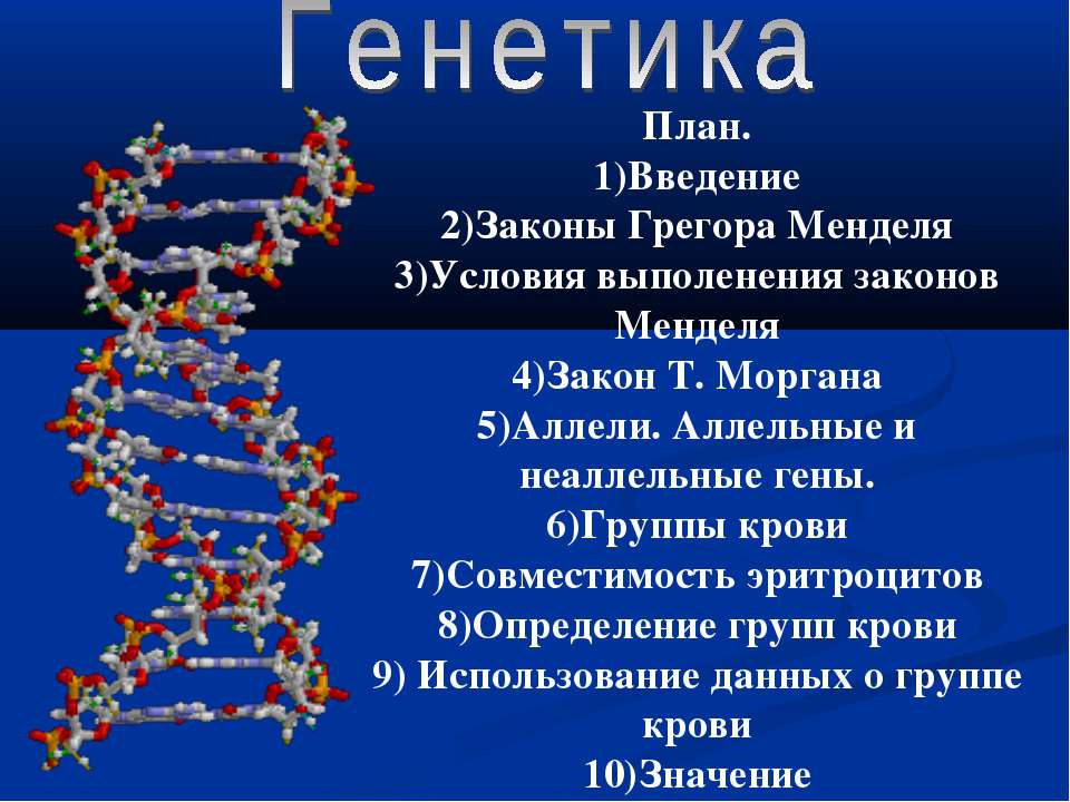 Генетика - Скачать презентации PowerPoint бесплатно | Портал бесплатных презентаций school-present.com