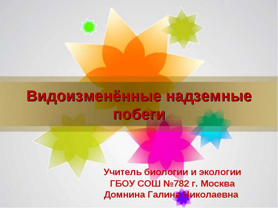 Видоизменённые надземные побеги - Скачать школьные презентации PowerPoint бесплатно | Портал бесплатных презентаций school-present.com