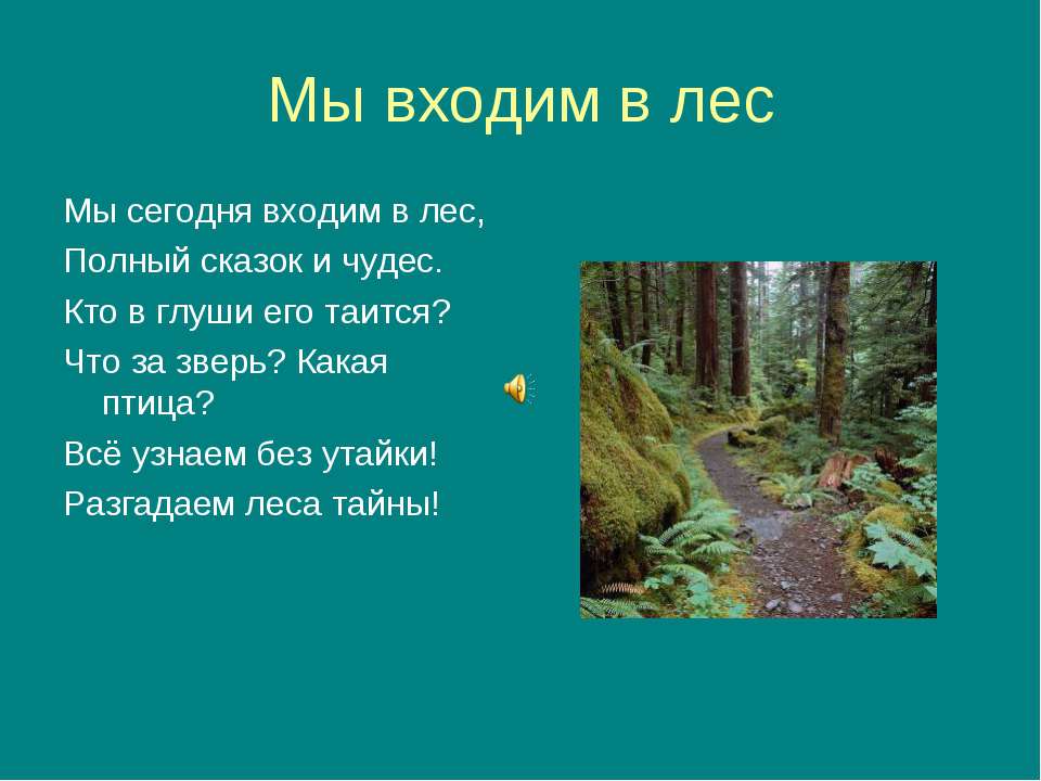 Мы входим в лес - Скачать школьные презентации PowerPoint бесплатно | Портал бесплатных презентаций school-present.com