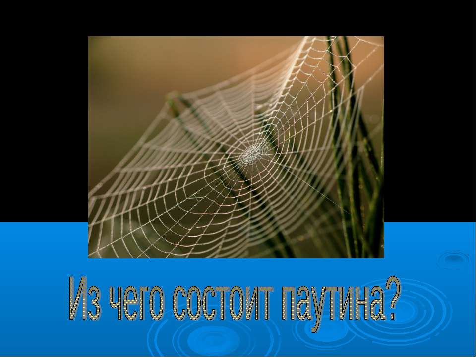 Из чего состоит паутина?