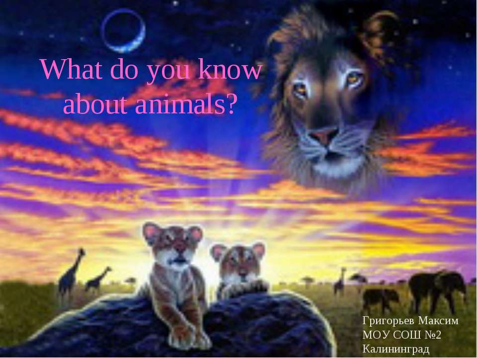 What do you know about animals?