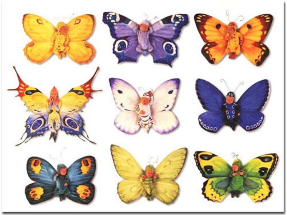 Бабочки 7 класс