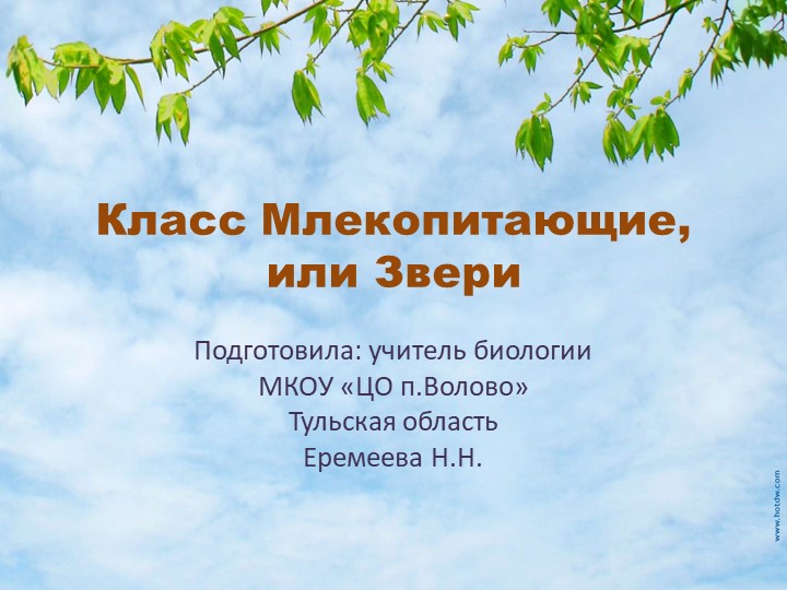 Презентация по биологии на тему "Млекопитающие, или Звери" - Скачать школьные презентации PowerPoint бесплатно | Портал бесплатных презентаций school-present.com