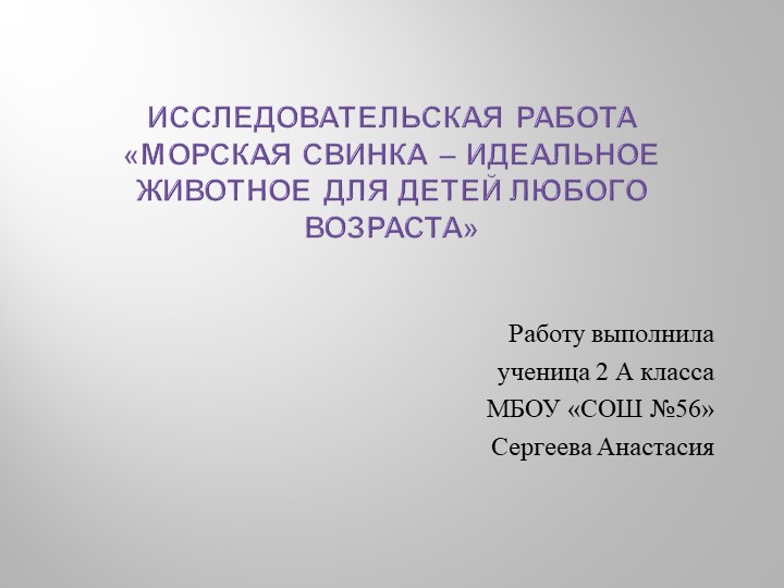 Презентация внеурочной деятельности "Морская свинка - идеальное животное для детей любого возраста". - Скачать школьные презентации PowerPoint бесплатно | Портал бесплатных презентаций school-present.com