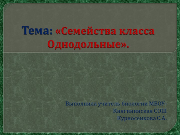 Презентация на тему "Однодольные" 6 класс - Скачать школьные презентации PowerPoint бесплатно | Портал бесплатных презентаций school-present.com