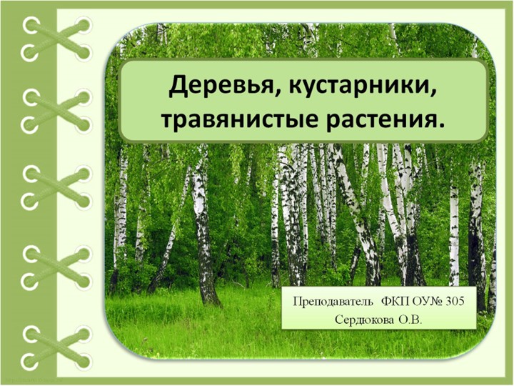 Презентация на тему "Деревья, кустарники, травянистые растения" - Скачать школьные презентации PowerPoint бесплатно | Портал бесплатных презентаций school-present.com