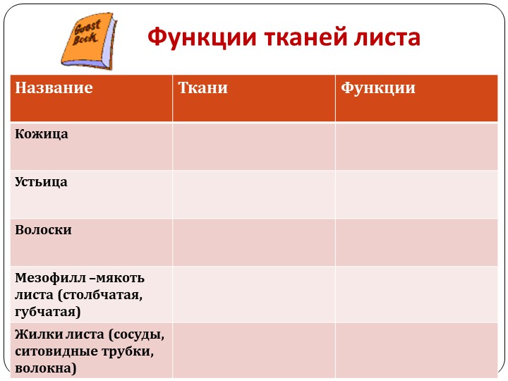 Презентация 3 класс "Что такое перспектива?" - Скачать школьные презентации PowerPoint бесплатно | Портал бесплатных презентаций school-present.com