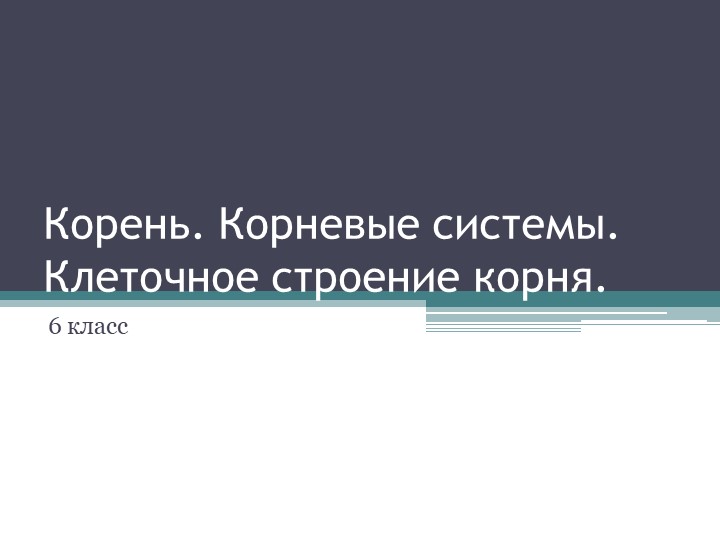 Презентация к уроку 6 класс биология Корень - Скачать школьные презентации PowerPoint бесплатно | Портал бесплатных презентаций school-present.com