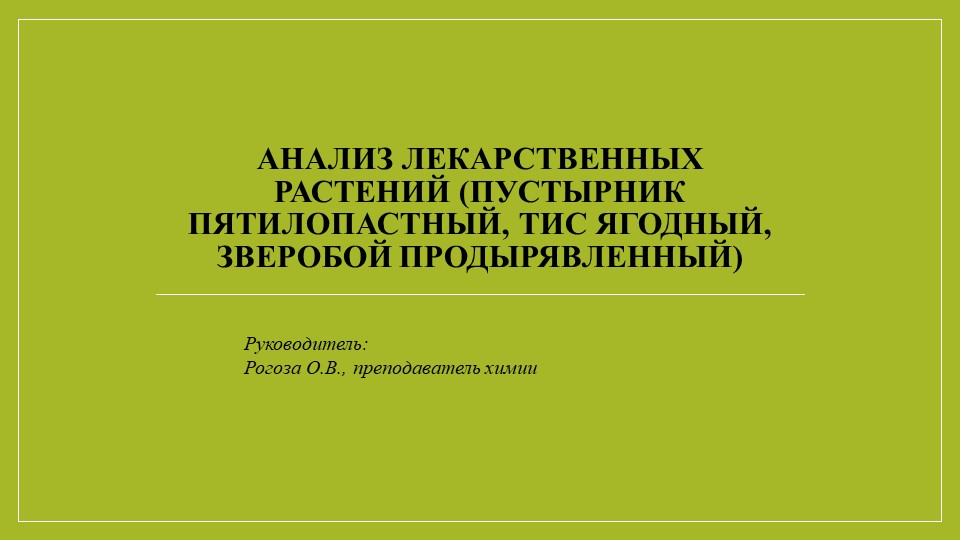 Презентация к исследовательской работе: "Анализ лекарственных растений - Пустырник пятилопастный, Тис ягодный, Зверобой продырявленный, Ромашка лекарственная " - Скачать школьные презентации PowerPoint бесплатно | Портал бесплатных презентаций school-present.com