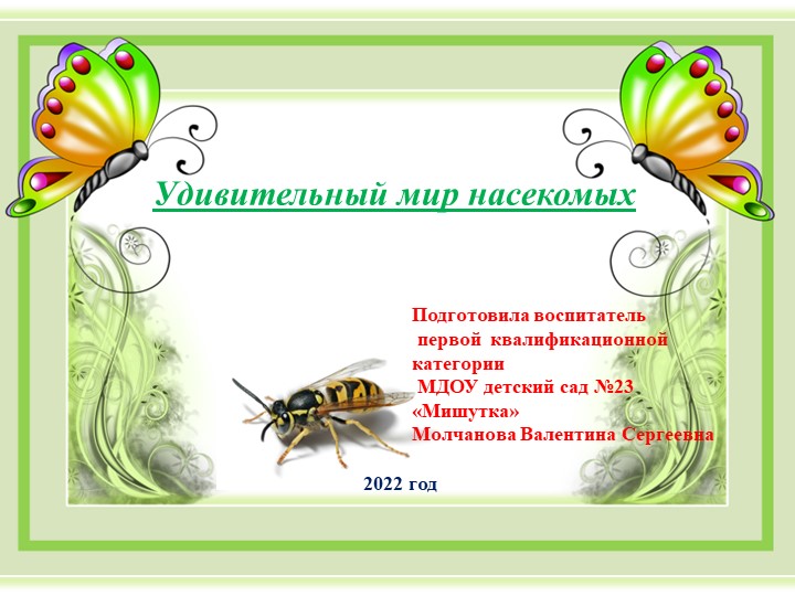 Презентация "Маленькие обитатели нашей планеты" - Скачать школьные презентации PowerPoint бесплатно | Портал бесплатных презентаций school-present.com