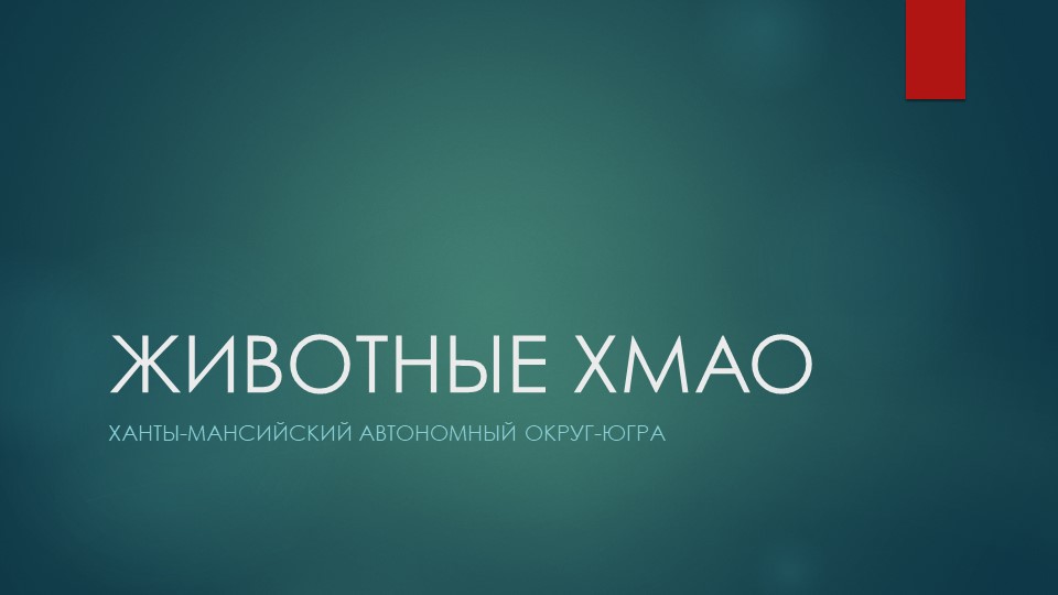 Пезентация "Животные Ханты-Мансийского АО" - Скачать школьные презентации PowerPoint бесплатно | Портал бесплатных презентаций school-present.com