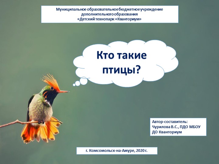 Презентация "Кто такие птицы" - Скачать школьные презентации PowerPoint бесплатно | Портал бесплатных презентаций school-present.com