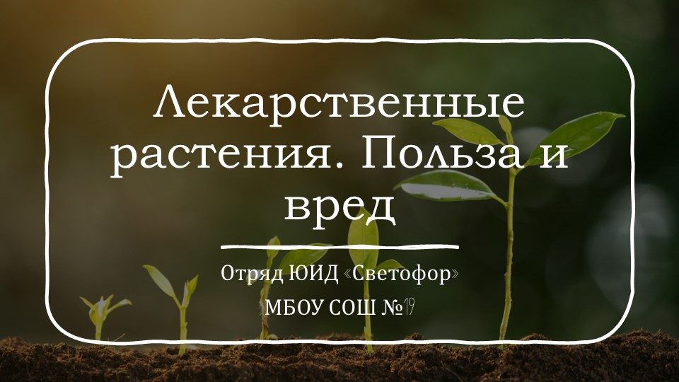 Презентация по обж на тему "лекарственные растения" - Скачать школьные презентации PowerPoint бесплатно | Портал бесплатных презентаций school-present.com