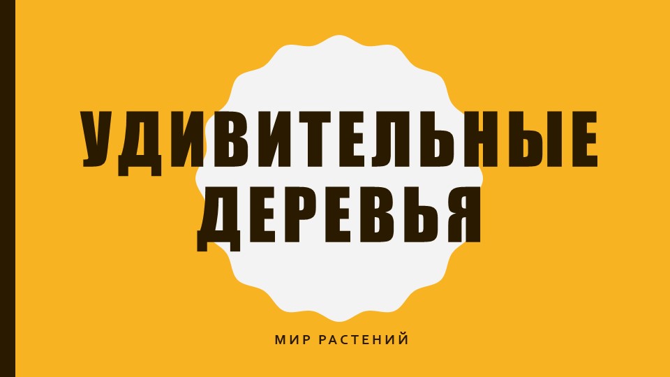 Презентация мир растений "удивительные деревья" - Скачать школьные презентации PowerPoint бесплатно | Портал бесплатных презентаций school-present.com