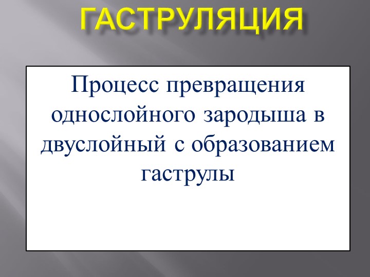 Презентация по биологии на тему "Гаструляция" 9 класс - Скачать школьные презентации PowerPoint бесплатно | Портал бесплатных презентаций school-present.com