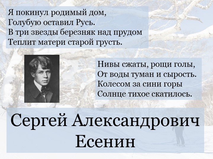 Презентация "С. Есенин "Берёза" - Скачать школьные презентации PowerPoint бесплатно | Портал бесплатных презентаций school-present.com