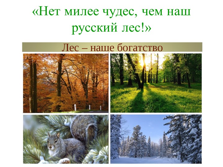 Презентация к классному часу "Русский лес полон чудес" - Скачать школьные презентации PowerPoint бесплатно | Портал бесплатных презентаций school-present.com