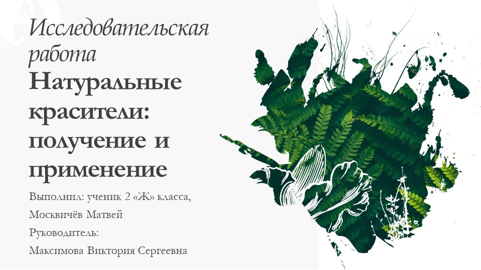 Презентация к НПК на тему "Натуральные красители: получение и применение",2 класс " - Скачать школьные презентации PowerPoint бесплатно | Портал бесплатных презентаций school-present.com