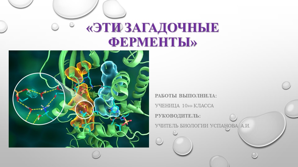 Презентация к проектной работе на тему: Эти загадочные ферменты. - Скачать школьные презентации PowerPoint бесплатно | Портал бесплатных презентаций school-present.com