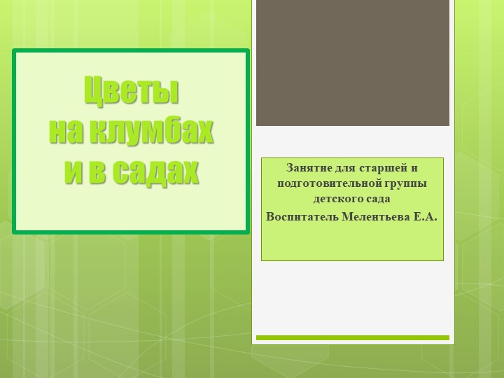 Презентация "Цветы на клумбах и в садах" - Скачать школьные презентации PowerPoint бесплатно | Портал бесплатных презентаций school-present.com