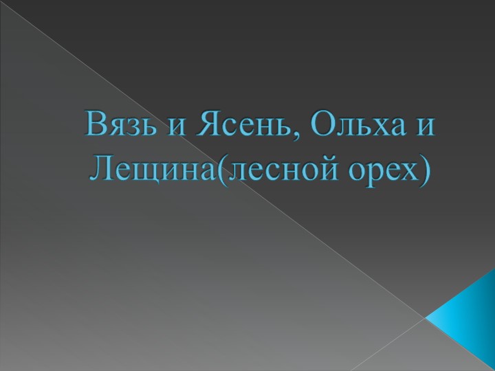 Презентация "Вязь и Ясень, Ольха и Лещина(лесной орех)" - Скачать школьные презентации PowerPoint бесплатно | Портал бесплатных презентаций school-present.com