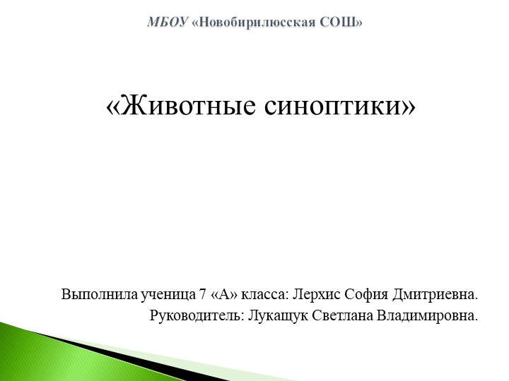 Презентация учебного проекта по биологии "Животные-синоптики" - Скачать школьные презентации PowerPoint бесплатно | Портал бесплатных презентаций school-present.com