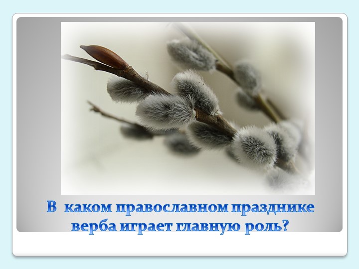 Презентация урока "Вербное воскресенье" - Скачать школьные презентации PowerPoint бесплатно | Портал бесплатных презентаций school-present.com