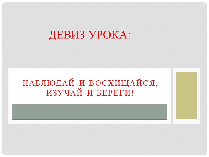 Презентация к открытому уроку по окружающему миру на тему "Жизнь леса" 4 класс - Скачать школьные презентации PowerPoint бесплатно | Портал бесплатных презентаций school-present.com