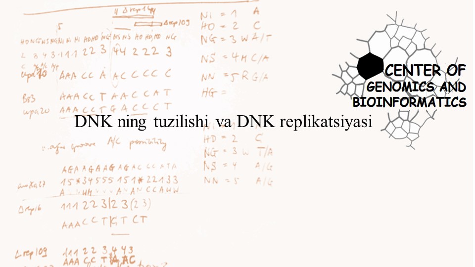 DNK ning tuzilishi va DNK replikatsiyasi - Скачать школьные презентации PowerPoint бесплатно | Портал бесплатных презентаций school-present.com