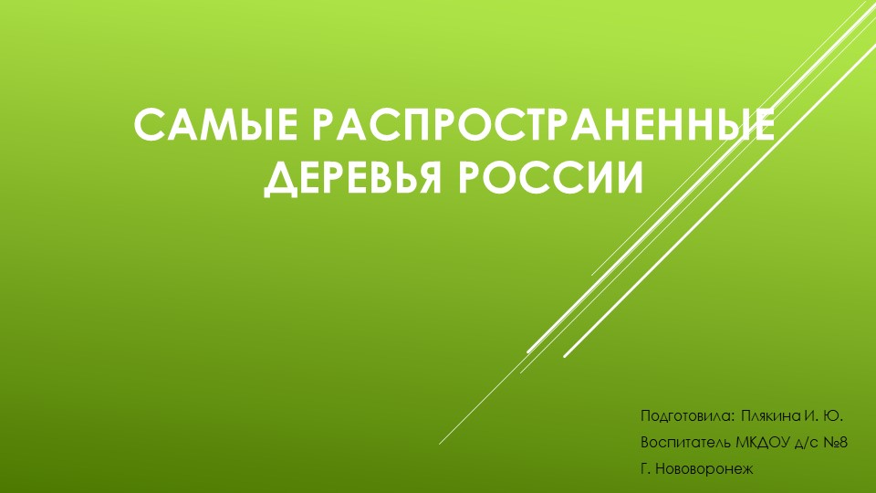 Презентация для детей дошкольного возраста "Самые распространенные деревья России" - Скачать школьные презентации PowerPoint бесплатно | Портал бесплатных презентаций school-present.com